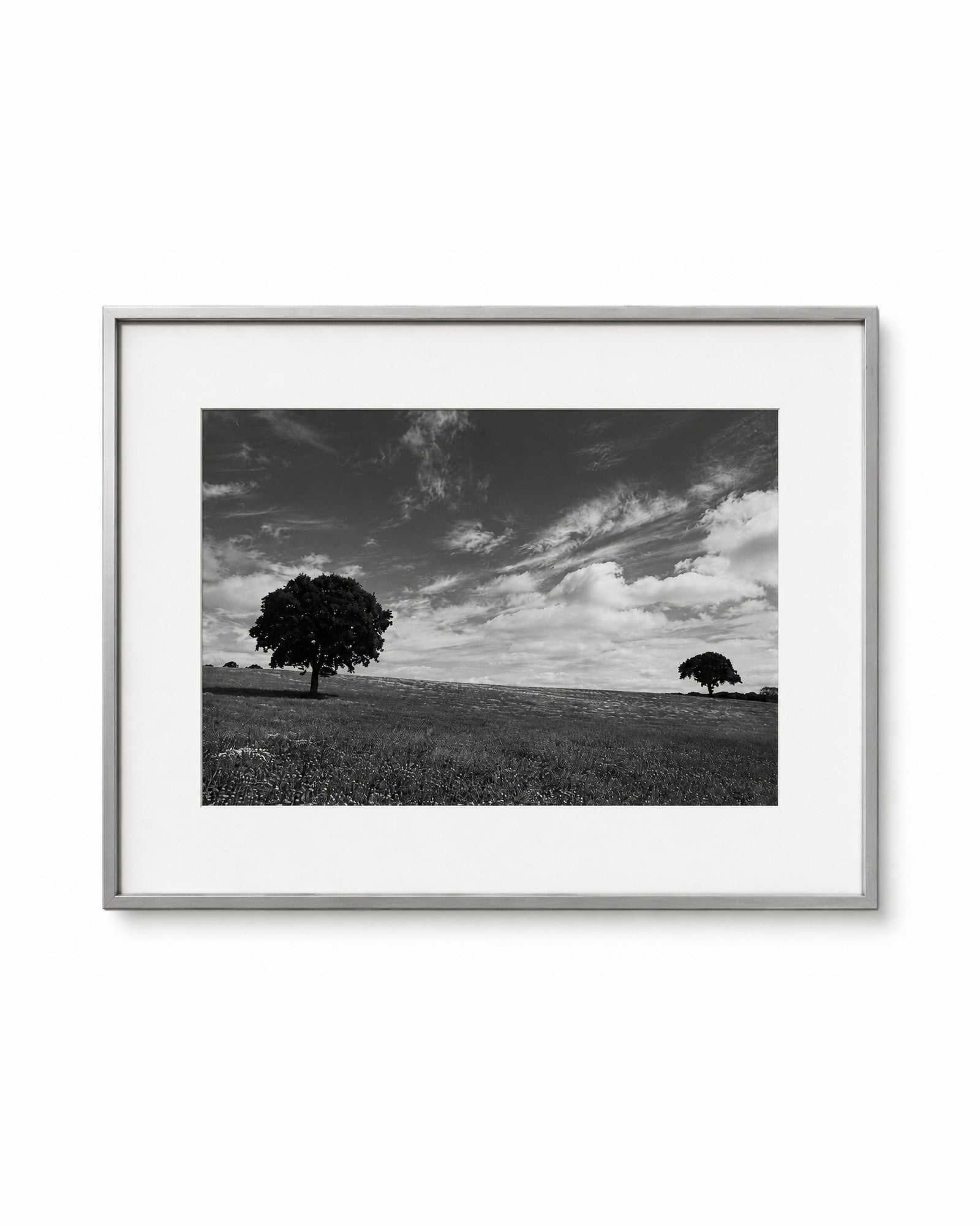 Between Two Trees [Schleswig Holstein, 1997] — fine art photograph by Larry Lazarus