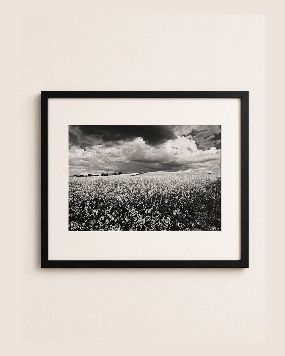 Before the storm [Hamburg East, 1994] — fine art photograph by Larry Lazarus
