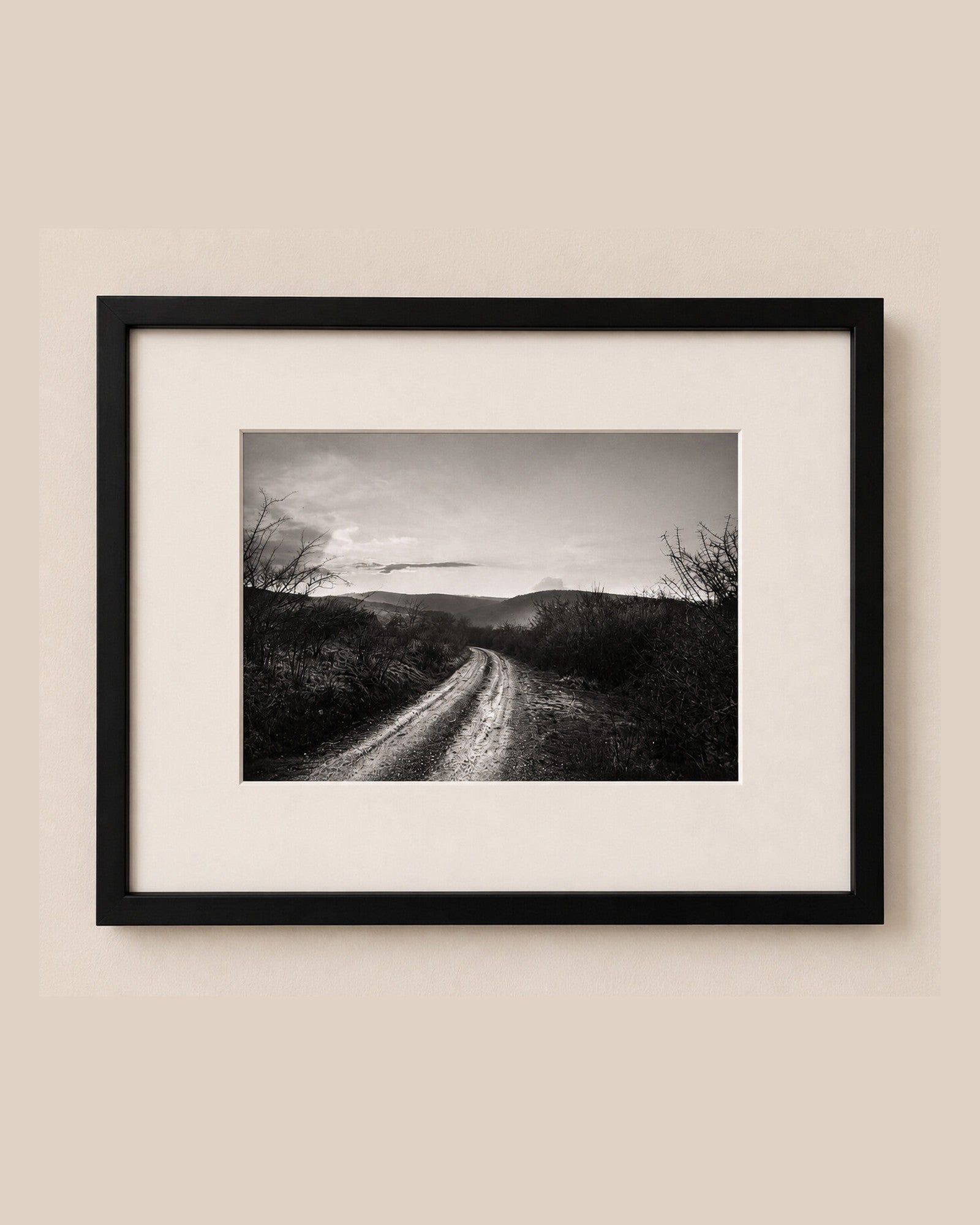 Somewhere on Sylt [Sylt, 1987] — fine art photograph by Larry Lazarus